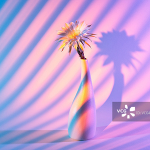 纽约时报|总担心别人不高兴?小心你掉进了“讨好陷阱”