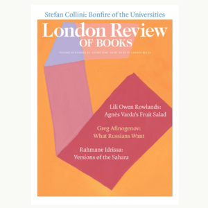 vol.82 飞天猪与大学篝火:英国高等教育系统的“死亡螺旋”