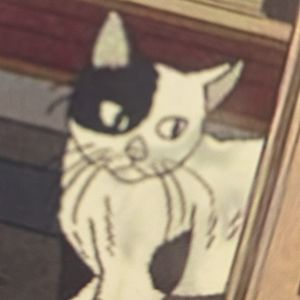 梅礼貌