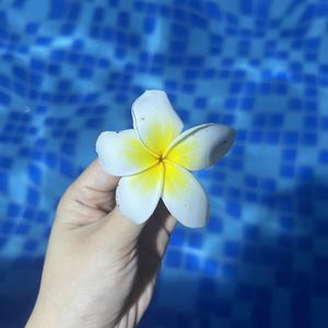 podcaster-avatar