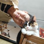 小鎮青青年