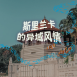 斯里兰卡的异域风情｜2小时超长沉浸式引导睡眠｜高质量中文快速深度催眠冥想放松助眠｜晚安