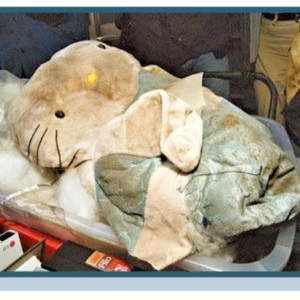 04.香港Hello Kitty藏尸案：罪恶、审判与社会反响（粤语版）