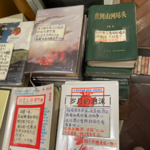 翠湖边，银杏黄，春城书正香