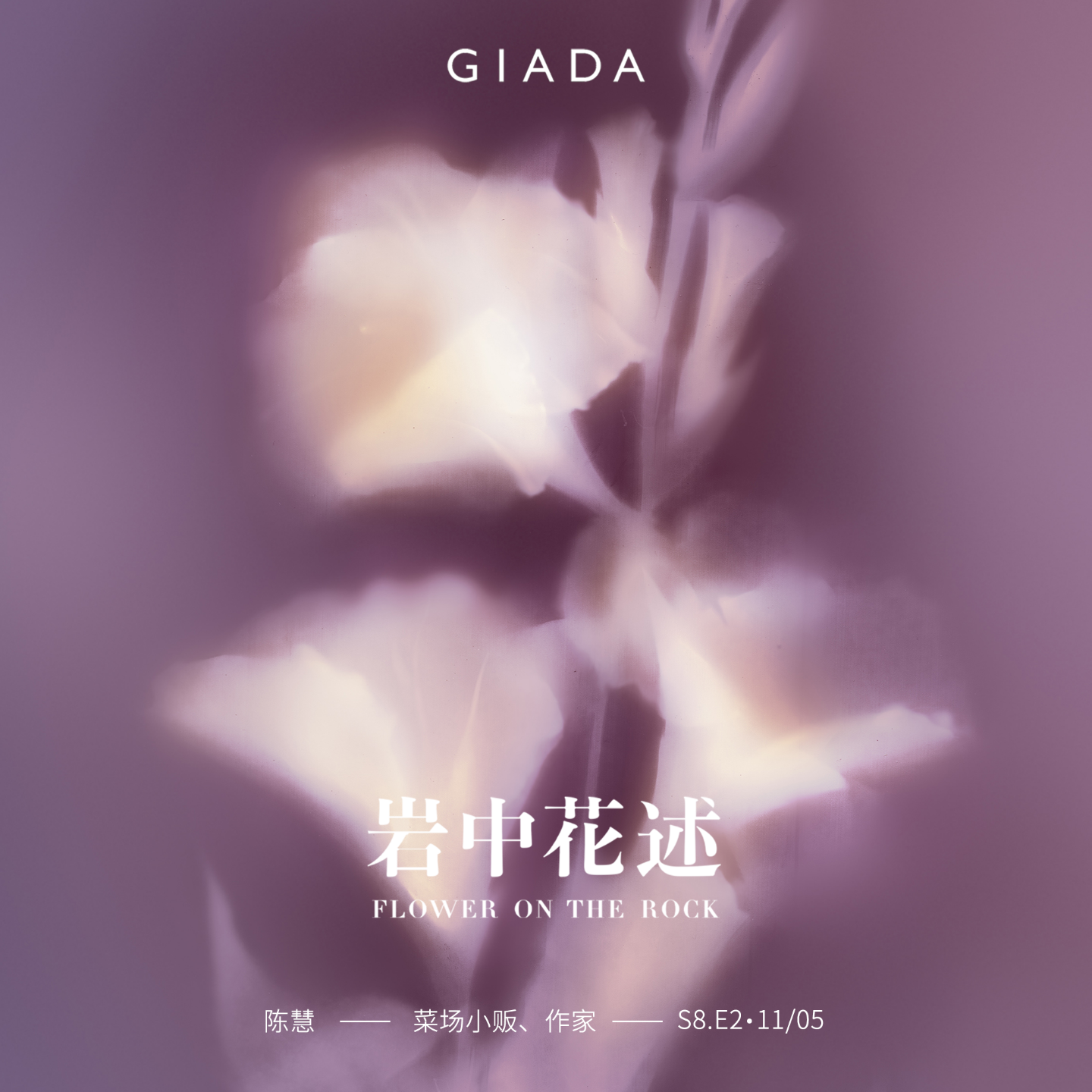 S8E2 鲁豫对话陈慧 | 人如南瓜，可攀援亦可贴地生长