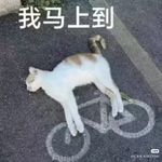 旋轉木馬喝了酒