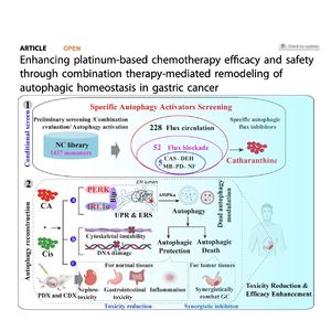 1442-Enhancing chemotherapy efficacy for Gastric Cancer