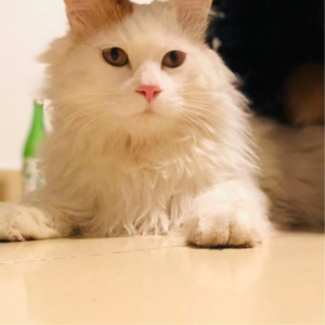 当90后开始避险：炒股炒房不如炒债吗？