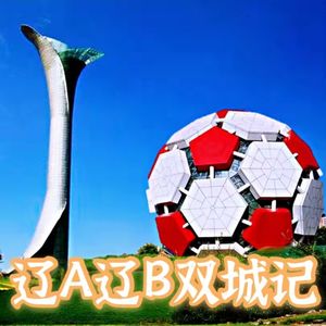 vol.08 闲溜达│辽A辽B双城记