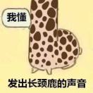 小陈小陈_mao