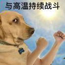 肥力士