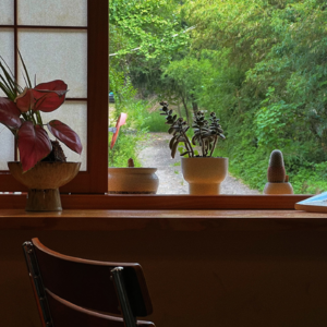 006.我的人生非标品,当女性挣脱“活法模板”