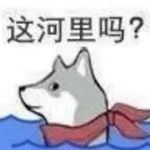 蓝碰碰