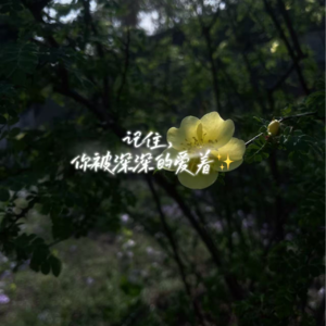 EP.01 |正念冥想·回到当下: 用5分钟,把散乱的心轻轻拉回此刻