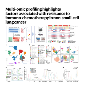 146-Spatial Determinants of NSCLC Immunotherapy Resistance