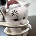 ill-