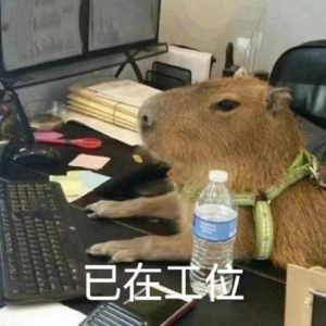 初入职场的我们：放下助人情结，学会阴阳怪气 | 中英美不同“班味”的社畜