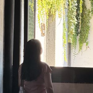 李七七七呀