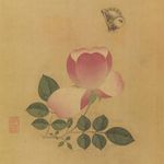 茶啾山房鲁嘉漪