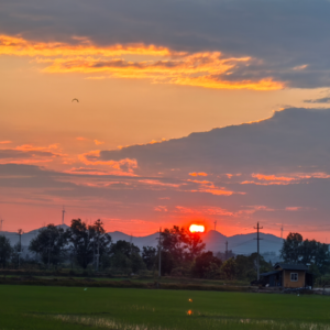 026 行业干货铺|不止教书,点亮学生的心与未来
