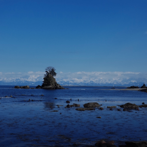 Vol.006 我们与其他人生的距离｜格外的活法