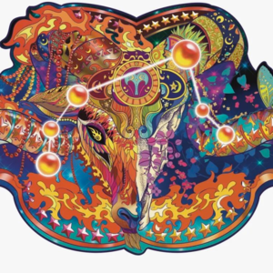 Vol.34 | 土星即将进入白羊座，2025-2028我们需要了解的