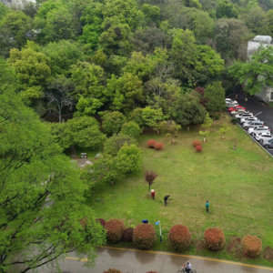 Vol.原子化的社会，如何找到自己的附近，找到自己的意义-（和小朱的开放对话）