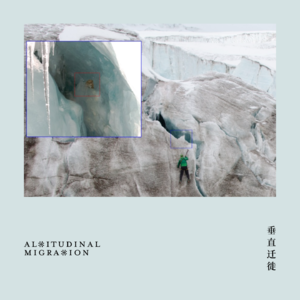 14 冰川里筑巢的小鸟