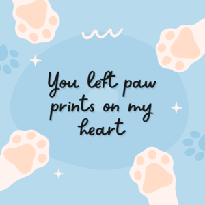 #34 萌宠之间：生活里的治愈、陪伴与责任