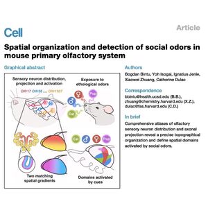 993-The Topographic Map of Social Odors