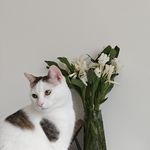 逃离的第二十三天