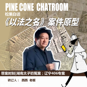 罪案时刻|一场黑色对赌协议：《以法之名》案件原型