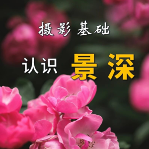 No.41-景深是啥？