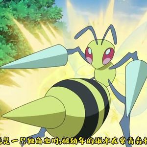 番外 | 别惹大马蜂 —— 关于蜂的“能好怎”