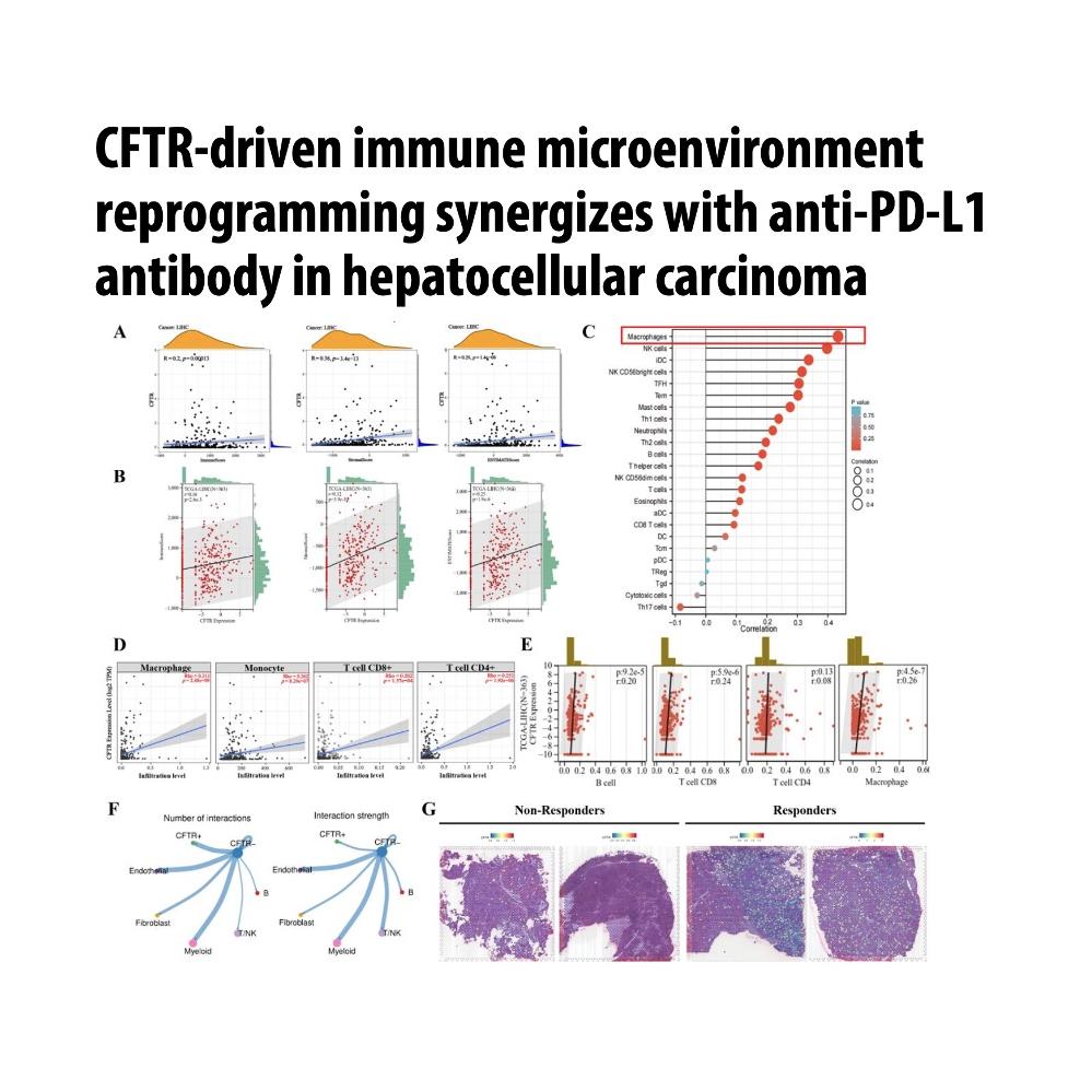 1453-CFTR Potentiates Immune Microenvironment Reprogramming episode artwork