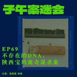 EP69 不存在的DNA,陕西宝鸡离奇谋杀案