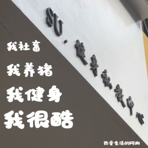 那些热爱生活的人|我社畜、我养猪、我健身、我很酷！