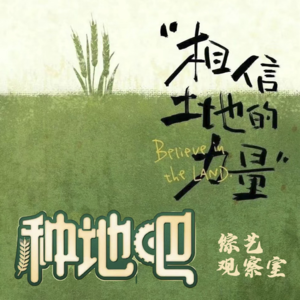 《种地吧》｜ 我的电子乌托邦