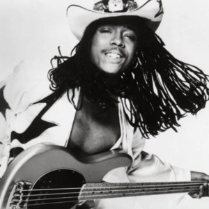 19480201 Rick James 幻蕊狂蚀 · 朋克放克恶之花