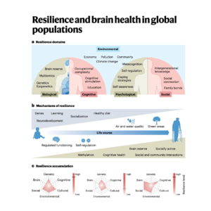 037-Resilience and brain health in global populations