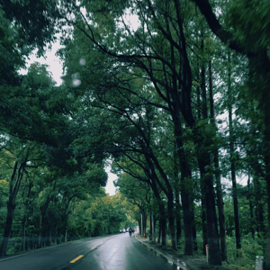 011-我们之所以相遇,是因为我们总在某些时刻或人生岔路口做了相似的选择