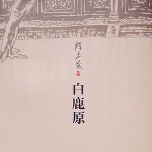 EP73:《白鹿原》(茅盾文学获奖作品)|那些不完美的、混沌的、带着泥土气的时刻,才是历史最真实的质地
