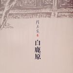 EP73：《白鹿原》（茅盾文学获奖作品）｜那些不完美的、混沌的、带着泥土气的时刻，才是历史最真实的质地