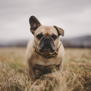 EP92 协整策略为什么不好用？