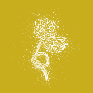 EP08【奥运专题】植物界的柔道选手