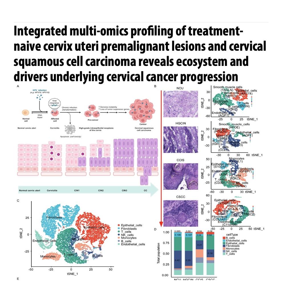 1455-Multi-omics Profiling of Cervical Cancer Evolution episode artwork