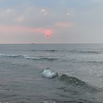 熊孩子是好孩子