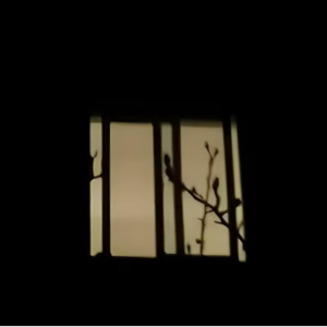 涞源钢铁厂灭门惨案