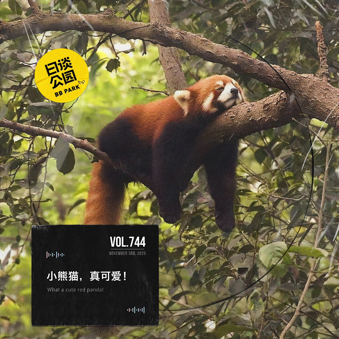日谈公园 - vol.744 小熊猫，真可爱！