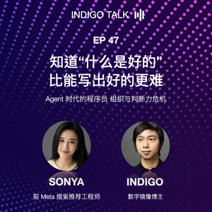 知道"什么是好的"，比能写出好的更难 - Indigo Talk EP47